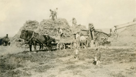 1919 Haying